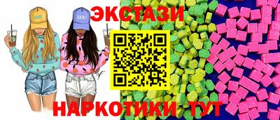 стаф Тула