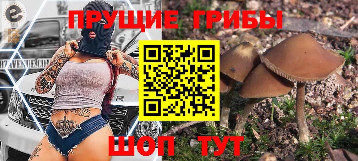 Псилоцибиновые грибы MAGIC MUSHROOMS  Псилоцибиновые грибы мицелий  Вход с VPN  Владикавказ 